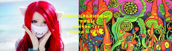 сатива Сатка