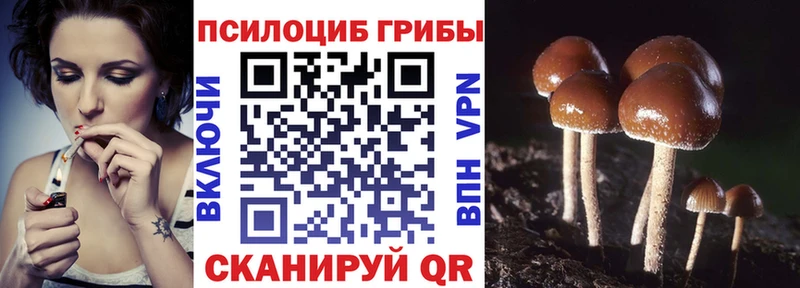 Галлюциногенные грибы мухоморы  Купить закладки  Шарыпово 